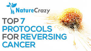 Top 7 Natural Protocols For Cancer